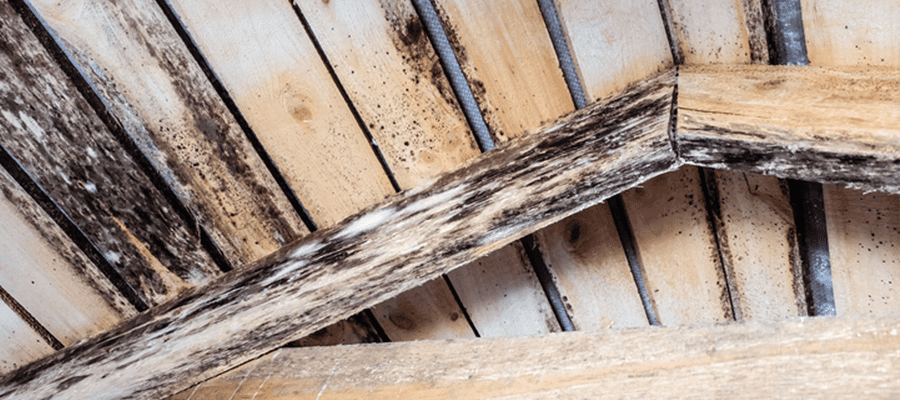 houtrot in een houten dakconstructie